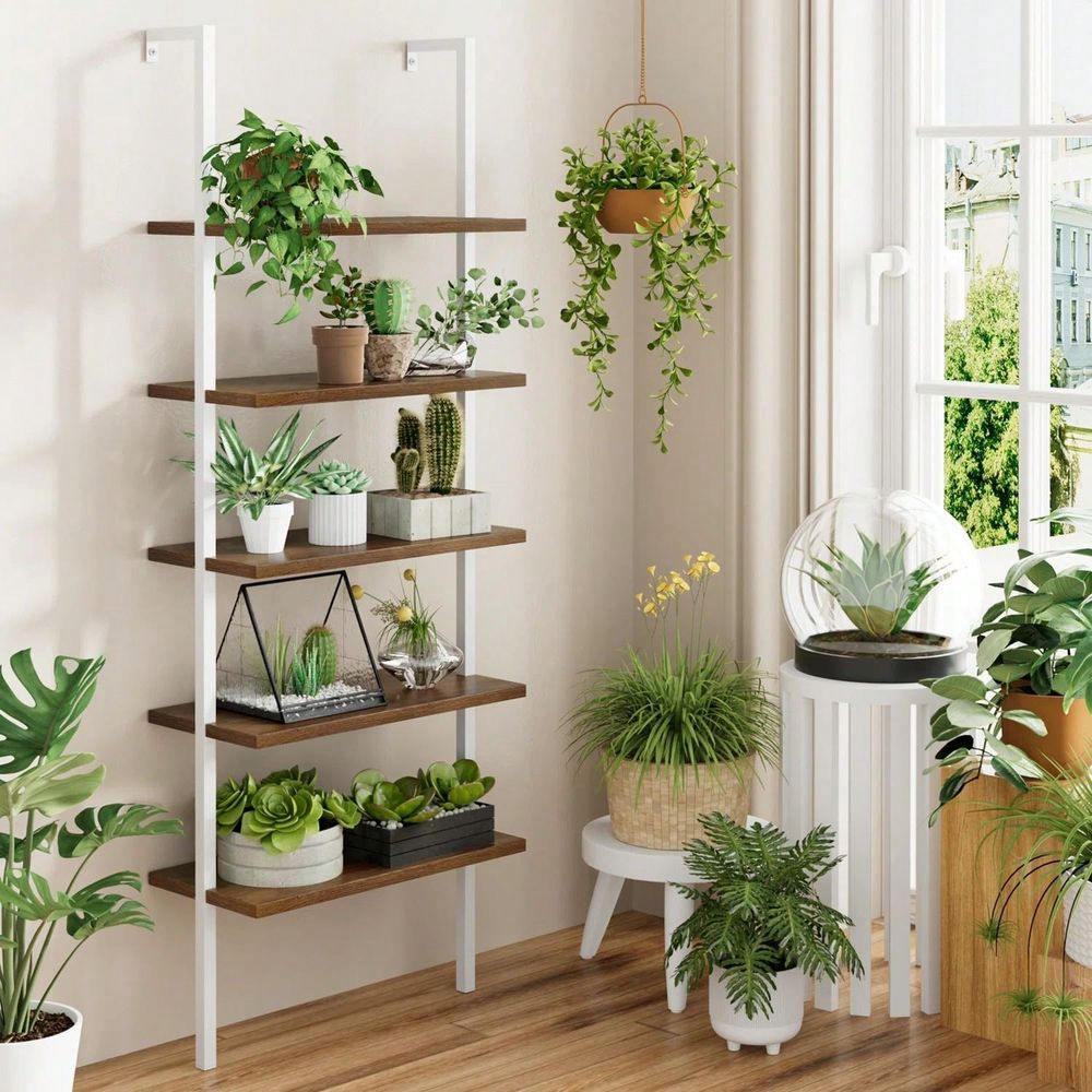 5-Tier Modern Wood Bookcase Wa - Bookshelf 5 Tier 评论和价格